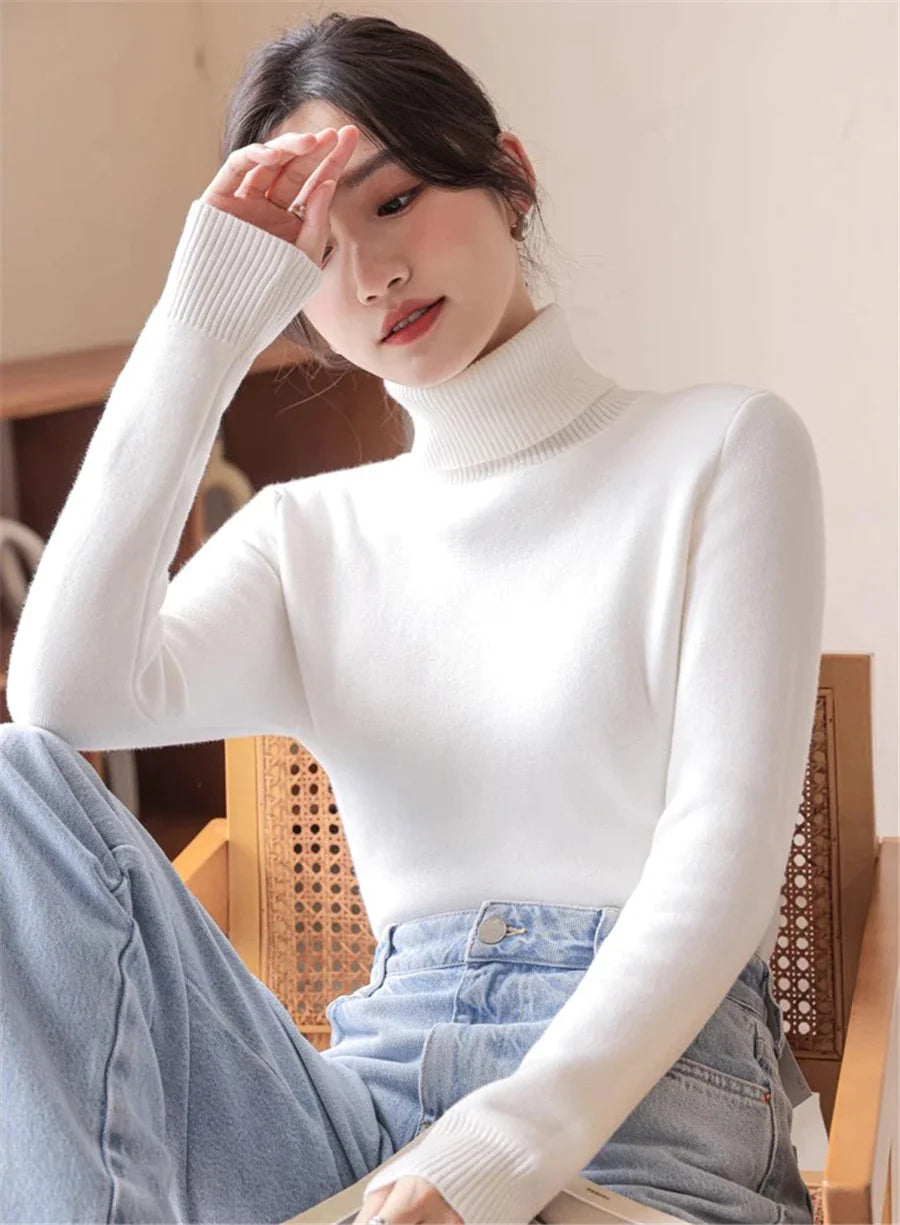 Ingrid Warm Turtleneck